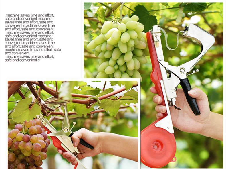 綁枝機對農(nóng)業(yè)現(xiàn)代化具有重要的意義